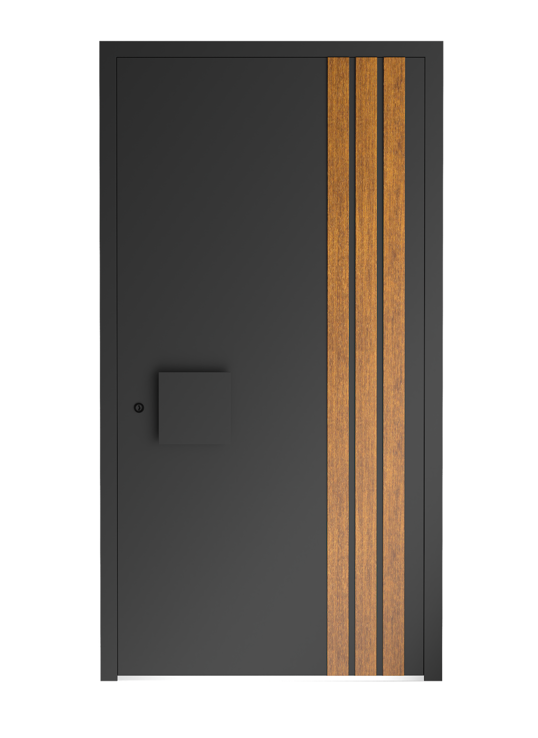 drzwi euroa seria lines 8009 Euroa External doors Lines series 8009