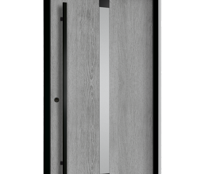 drzwi zewnętrzne euroa seria Black design BD 01