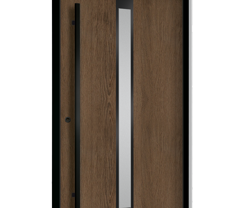 drzwi zewnętrzne euroa seria Black design BD 02