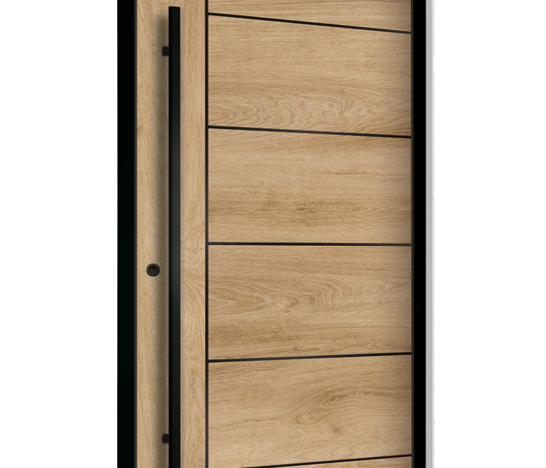 drzwi zewnętrzne euroa seria Black design BD 03