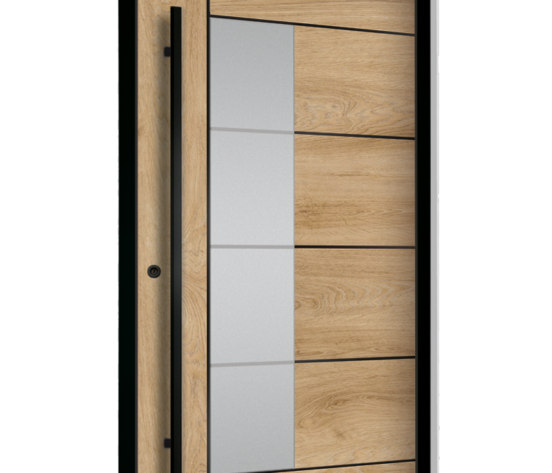 drzwi zewnętrzne euroa seria Black design BD 04