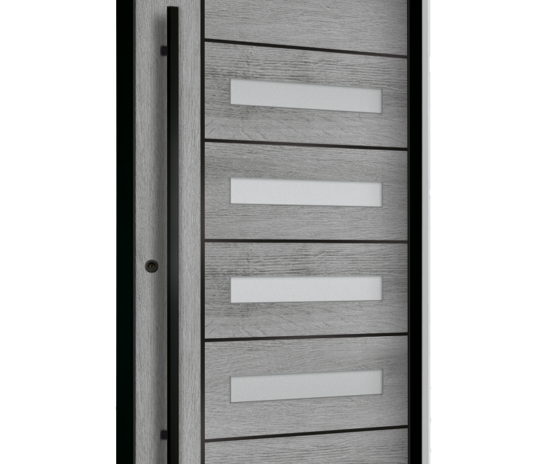 drzwi zewnętrzne euroa seria Black design BD 05