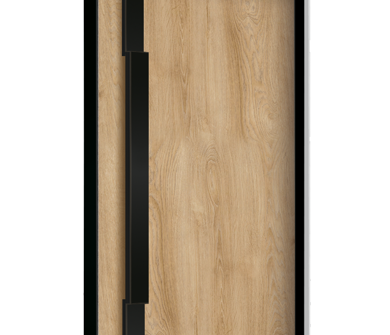 drzwi zewnętrzne euroa seria Black design BD 07