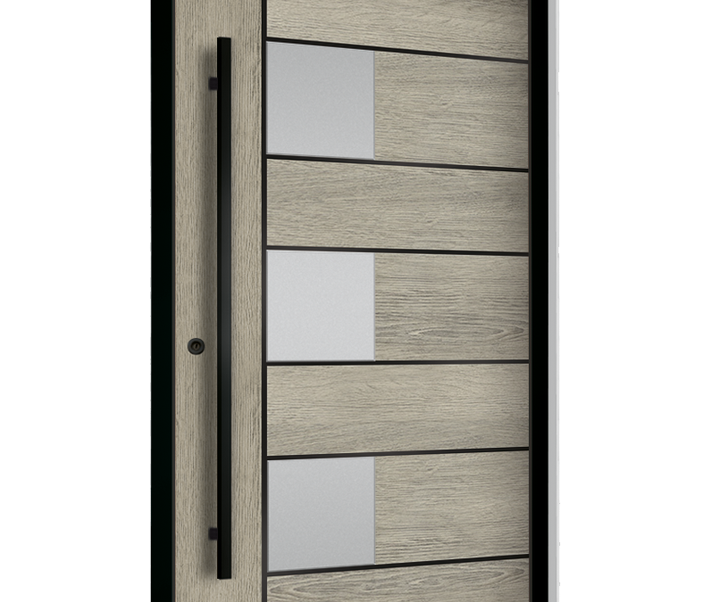 drzwi zewnętrzne euroa seria Black design BD 09
