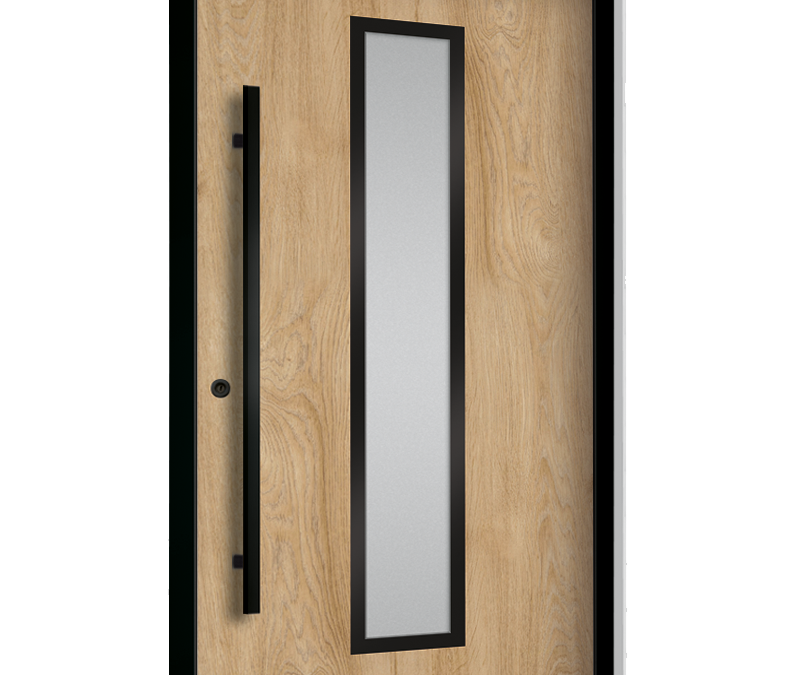 drzwi zewnętrzne euroa seria Black design BD 10