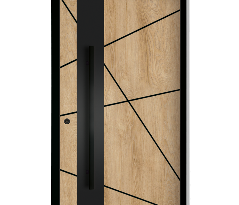 drzwi zewnętrzne euroa seria Black design BD 12
