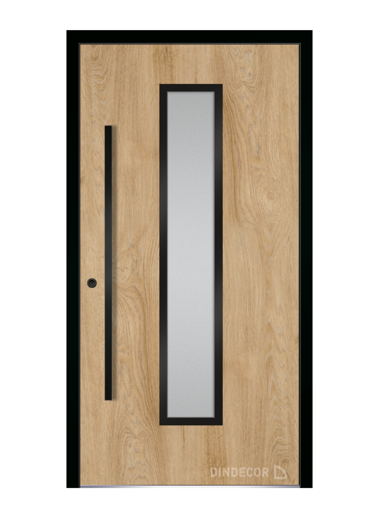 drzwi zewnętrzne euroa seria black design BD 10 Euroa External doors Black design series BD 10