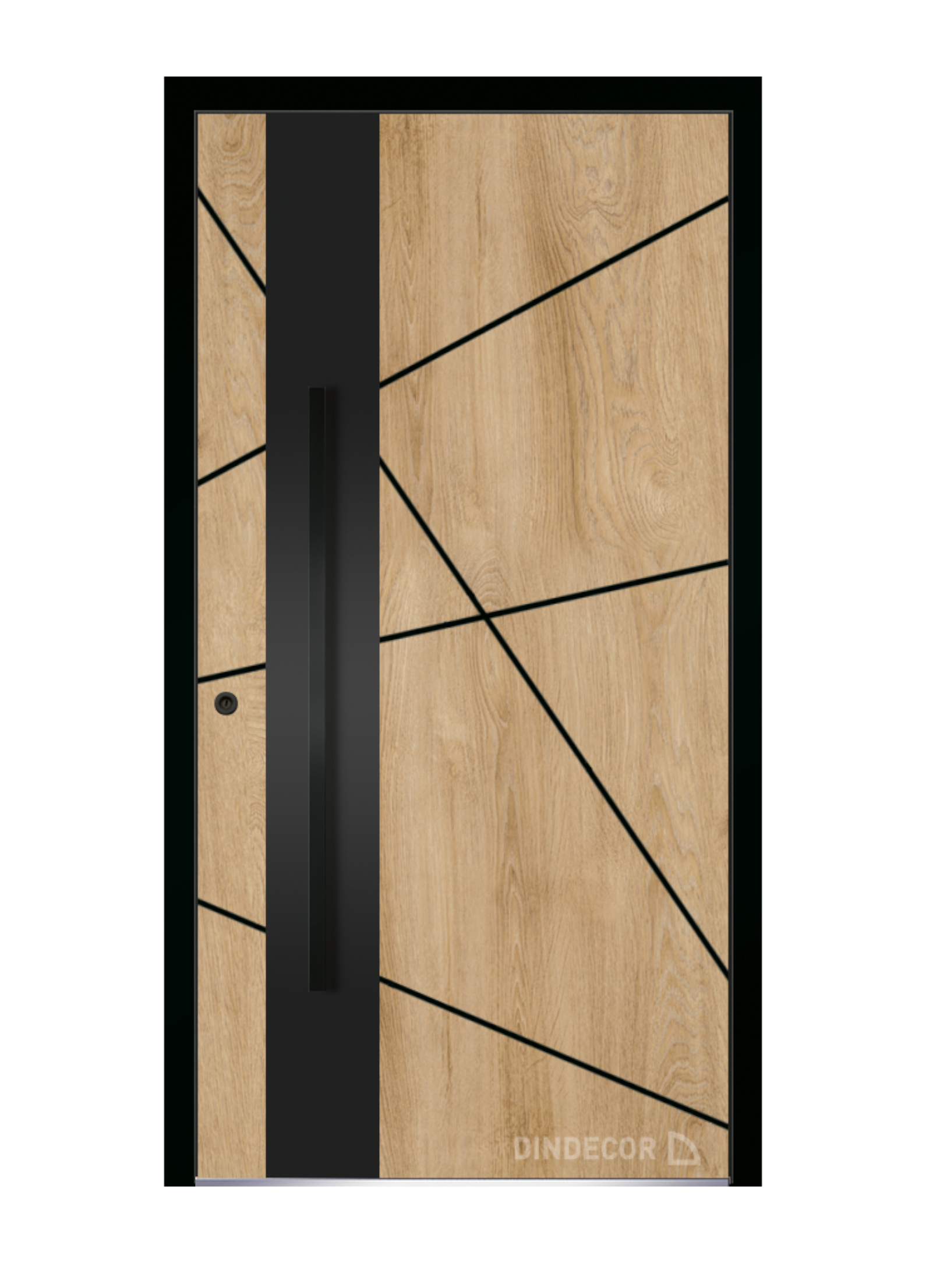 drzwi zewnętrzne euroa seria black design BD 12 Euroa External doors Black design series BD 12